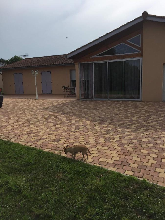 Chambres D'Hotes Chez Coco Saint-Georges-de-Reneins Kültér fotó